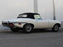 JAGUAR E-Type 4.2 Roadster S2, Essence, Occasion / Utilisé, Manuelle - 3