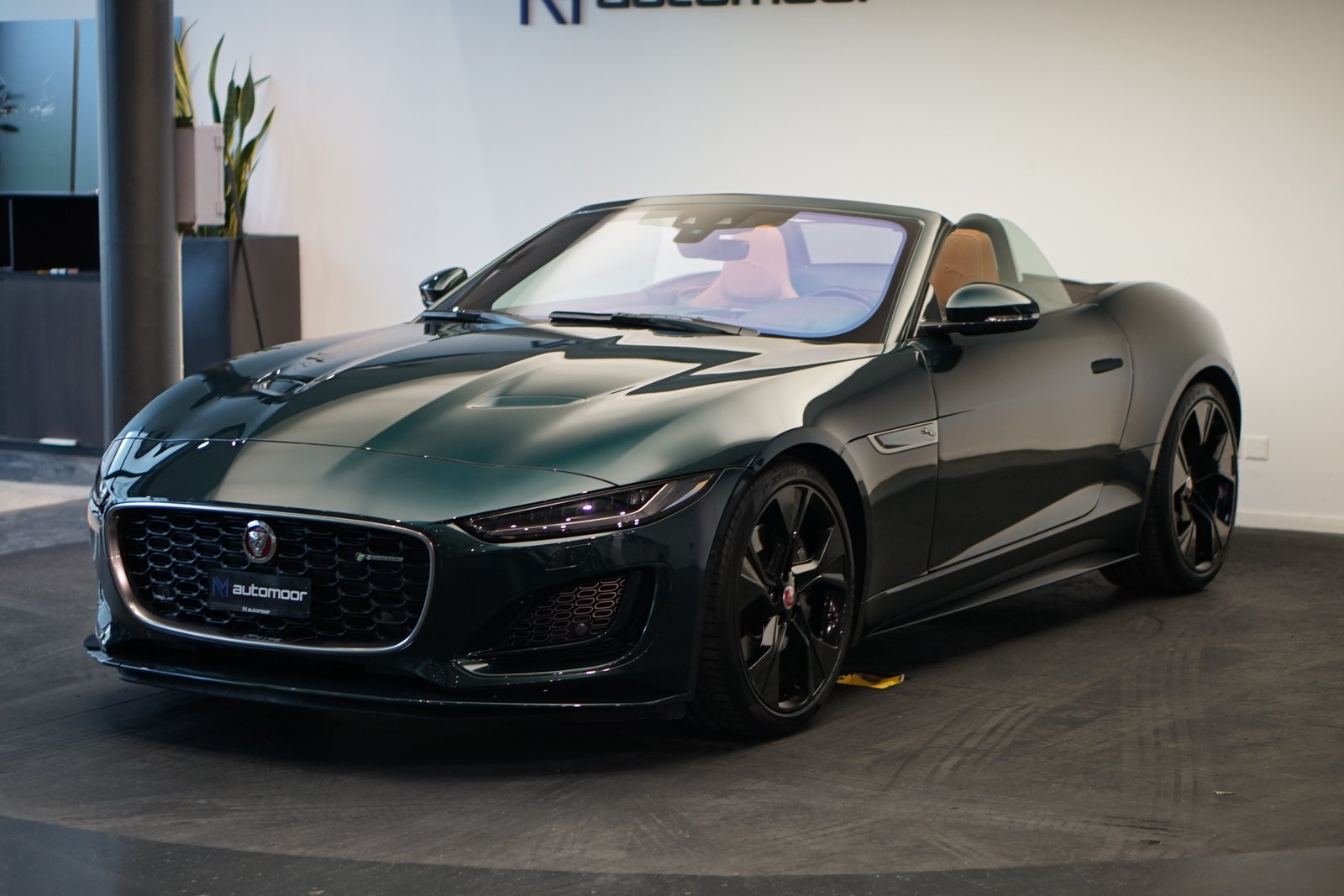 JAGUAR F-Type Convertible 2.0 I4 R-Dynamic Black Automatik *