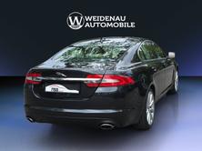 JAGUAR XF 3.0 V6 S/C Luxury 4x4, Benzina, Occasioni / Usate, Automatico - 6
