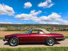 JAGUAR XJS 5.3 V12 Convertible, Essence, Voiture de collection, Automatique - 4