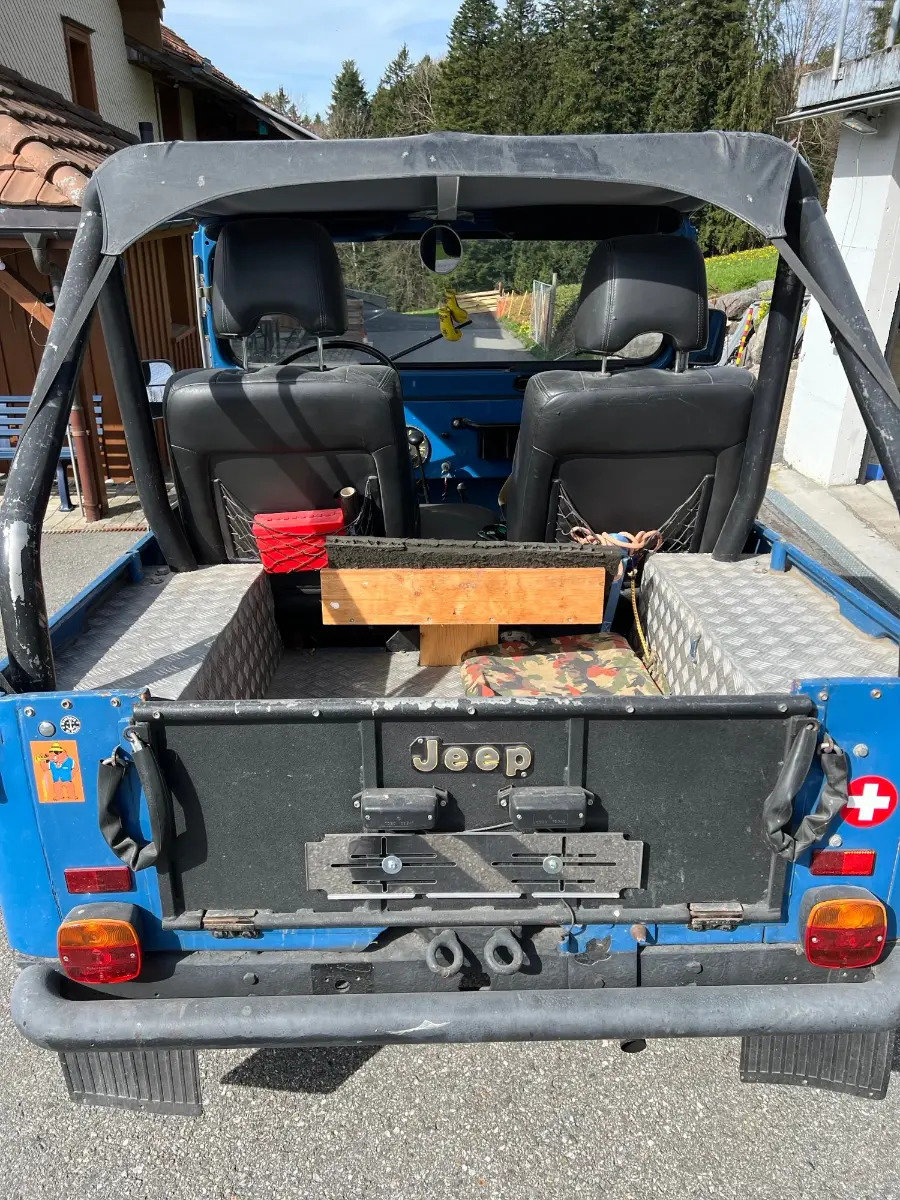 JEEP CJ-5 Willys Universal, Benzina, Occasioni / Usate, Manuale - 2