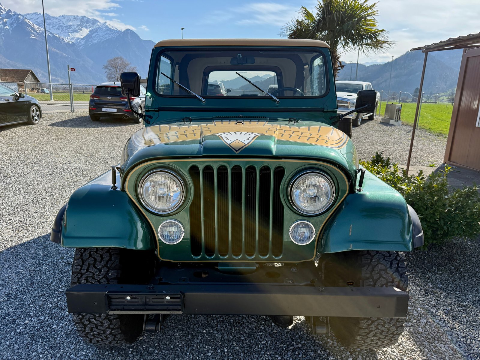 JEEP CJ 7 V8 golden eagle Veteranenfahrzeug, Petrol, Second hand / Used, Automatic - 6