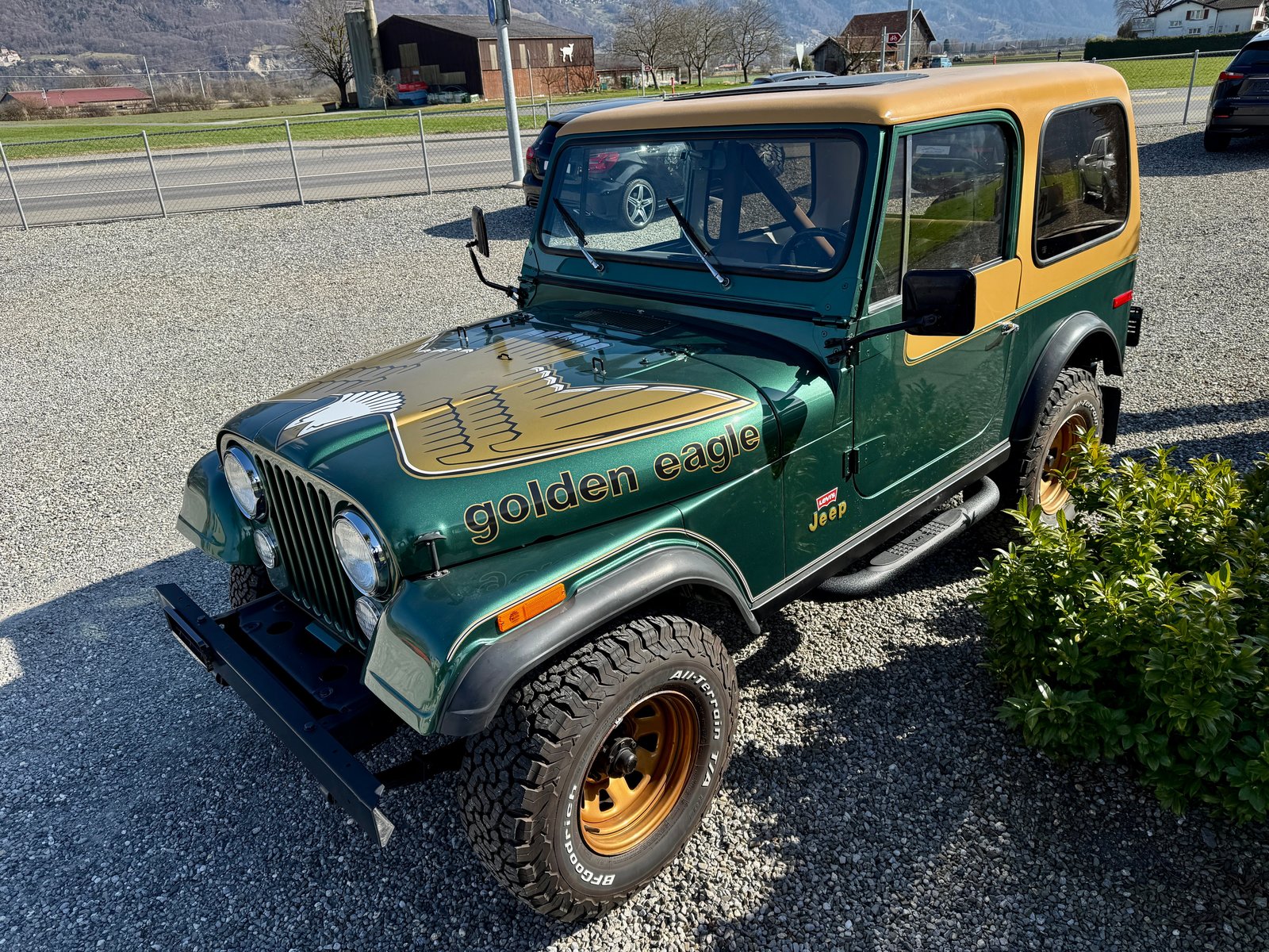 JEEP CJ 7 V8 golden eagle Veteranenfahrzeug, Petrol, Second hand / Used, Automatic - 7