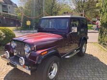 JEEP CJ-7  5.0 V8, Benzina, Occasioni / Usate, Automatico - 4