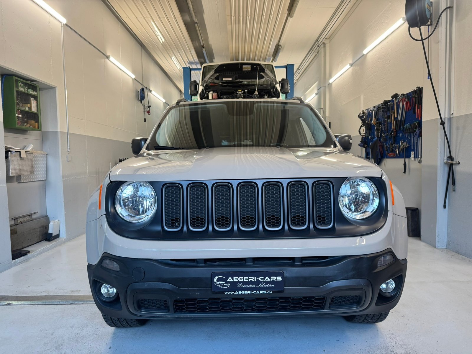 JEEP Renegade 2.0 CRD Trailhawk AWD + Low Range 9ATX, Diesel, Occasion / Utilisé, Automatique - 2