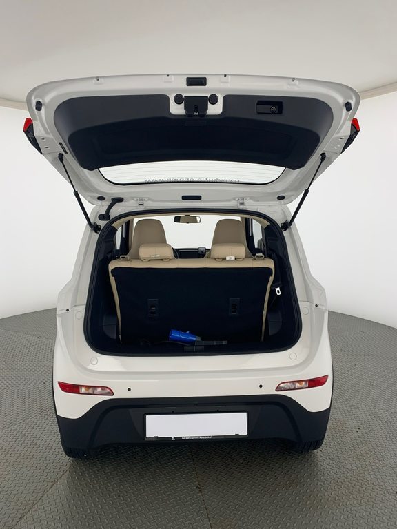 JIAYUAN suv, Électrique, Voiture de démonstration, Automatique - 7