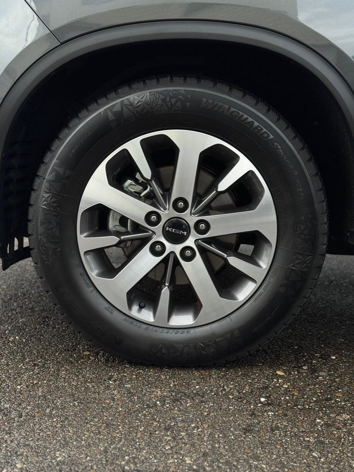 KGM-SSANGYONG Rexton RX 2.2 TD Titanium, Diesel, Auto nuove, Automatico - 5