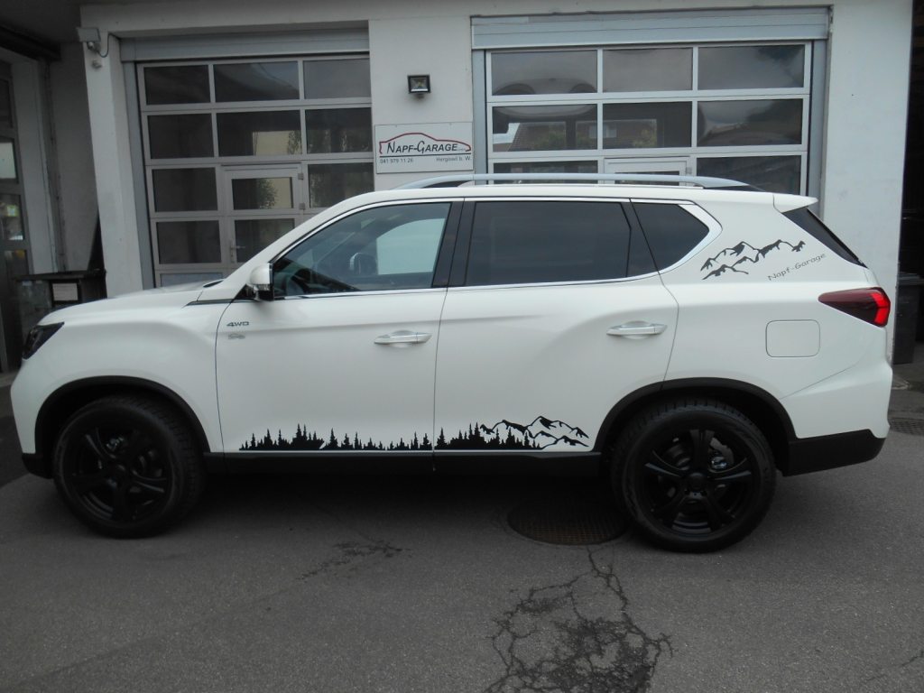 KGM-SSANGYONG REXTON 2.2 Platinum Aut. Edt., Diesel, Vorführwagen, Automatik - 2
