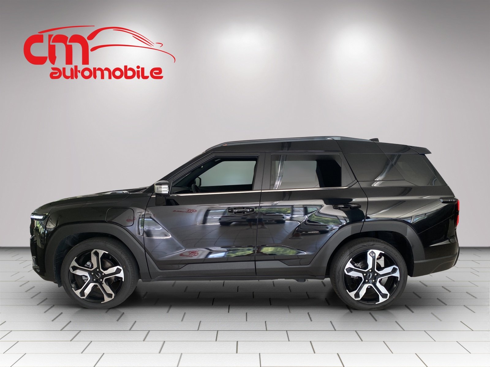 KGM-SSANGYONG Torres EVX 80 kWh Titanium, Électrique, Occasion / Utilisé, Automatique - 7