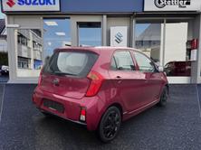 KIA Picanto 1.2 CVVT Trend Automatic, Benzina, Occasioni / Usate, Automatico - 6