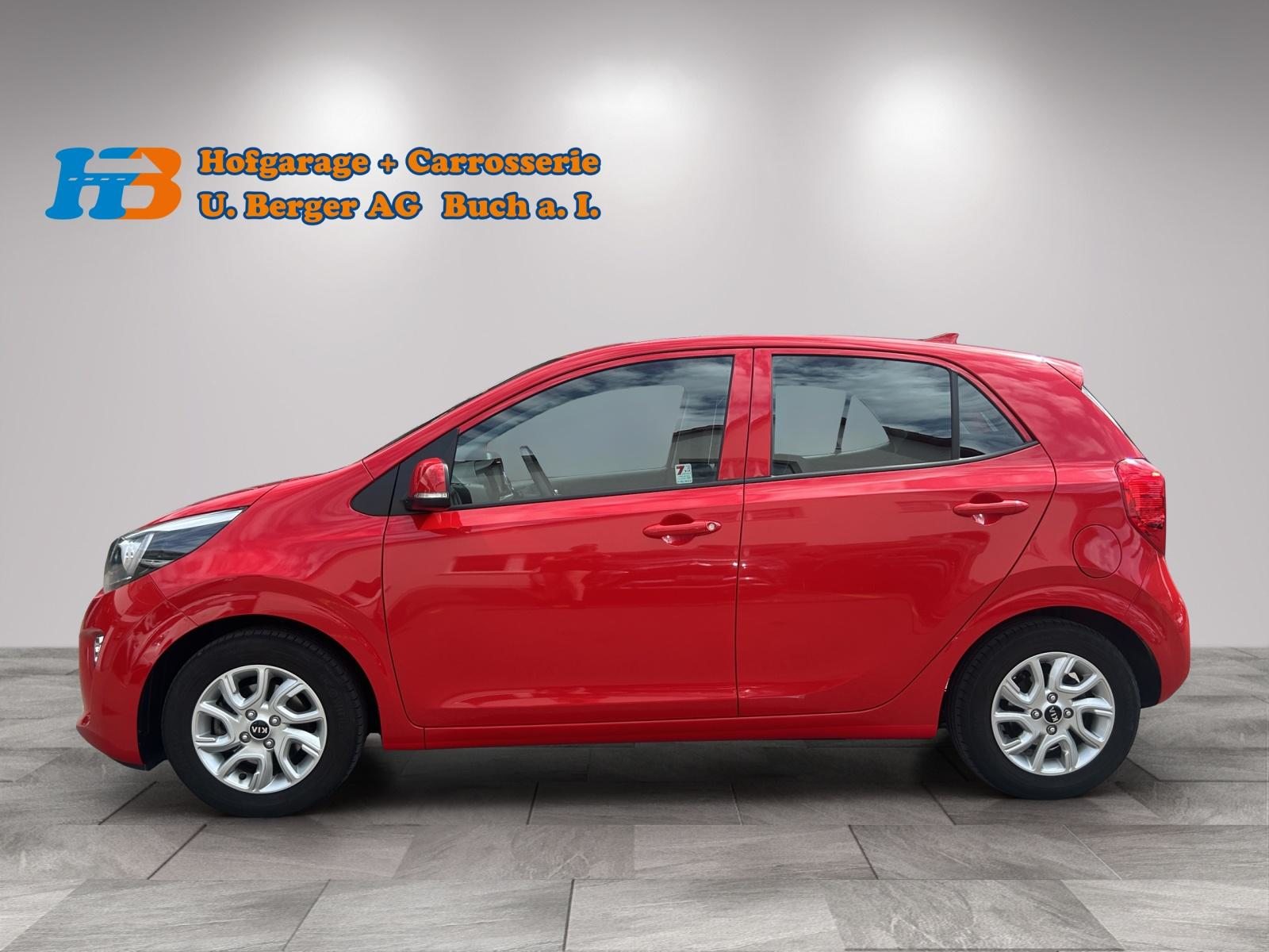 KIA Picanto 1.2 CVVT Trend, Benzina, Occasioni / Usate, Automatico - 4