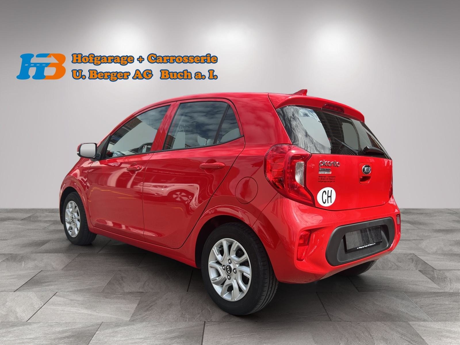 KIA Picanto 1.2 CVVT Trend, Benzina, Occasioni / Usate, Automatico - 5