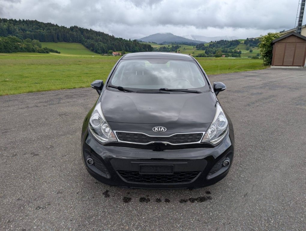 KIA RIO 1.4 CVVT Trend, Benzina, Occasioni / Usate, Manuale - 2