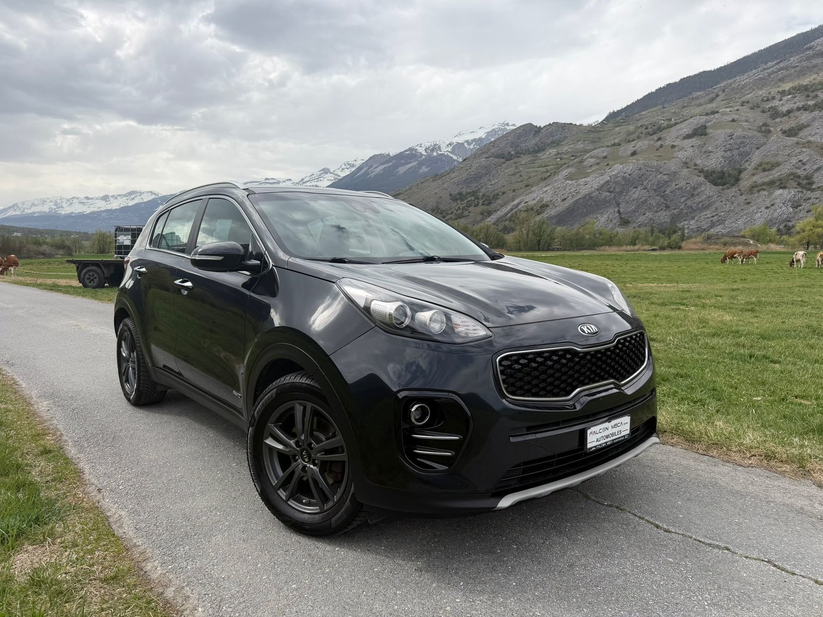 KIA Sportage 1.6 T-GDi Swiss City Line 4WD Automat, Essence, Occasion / Utilisé, Automatique - 2