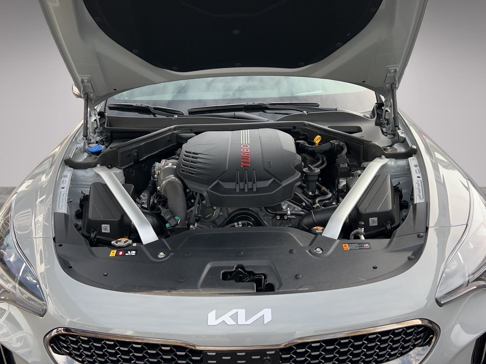 KIA Stinger GT 3.3 T-GDi, Benzina, Auto dimostrativa, Automatico - 5