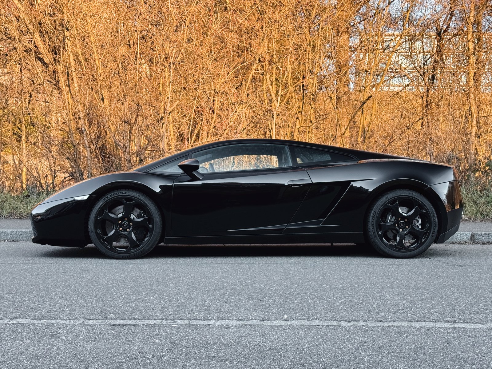LAMBORGHINI Gallardo 5.0 V10 Coupé, Benzina, Occasioni / Usate, Manuale - 3