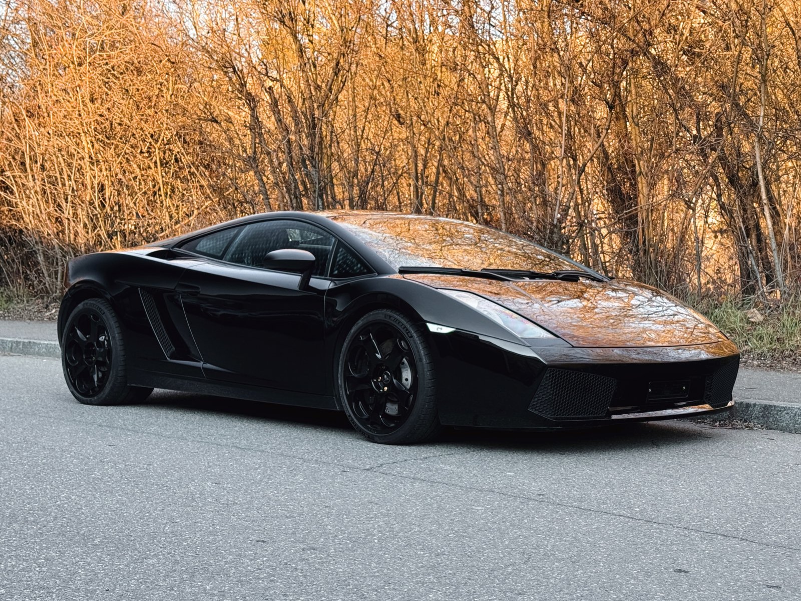 LAMBORGHINI Gallardo 5.0 V10 Coupé, Benzina, Occasioni / Usate, Manuale - 7
