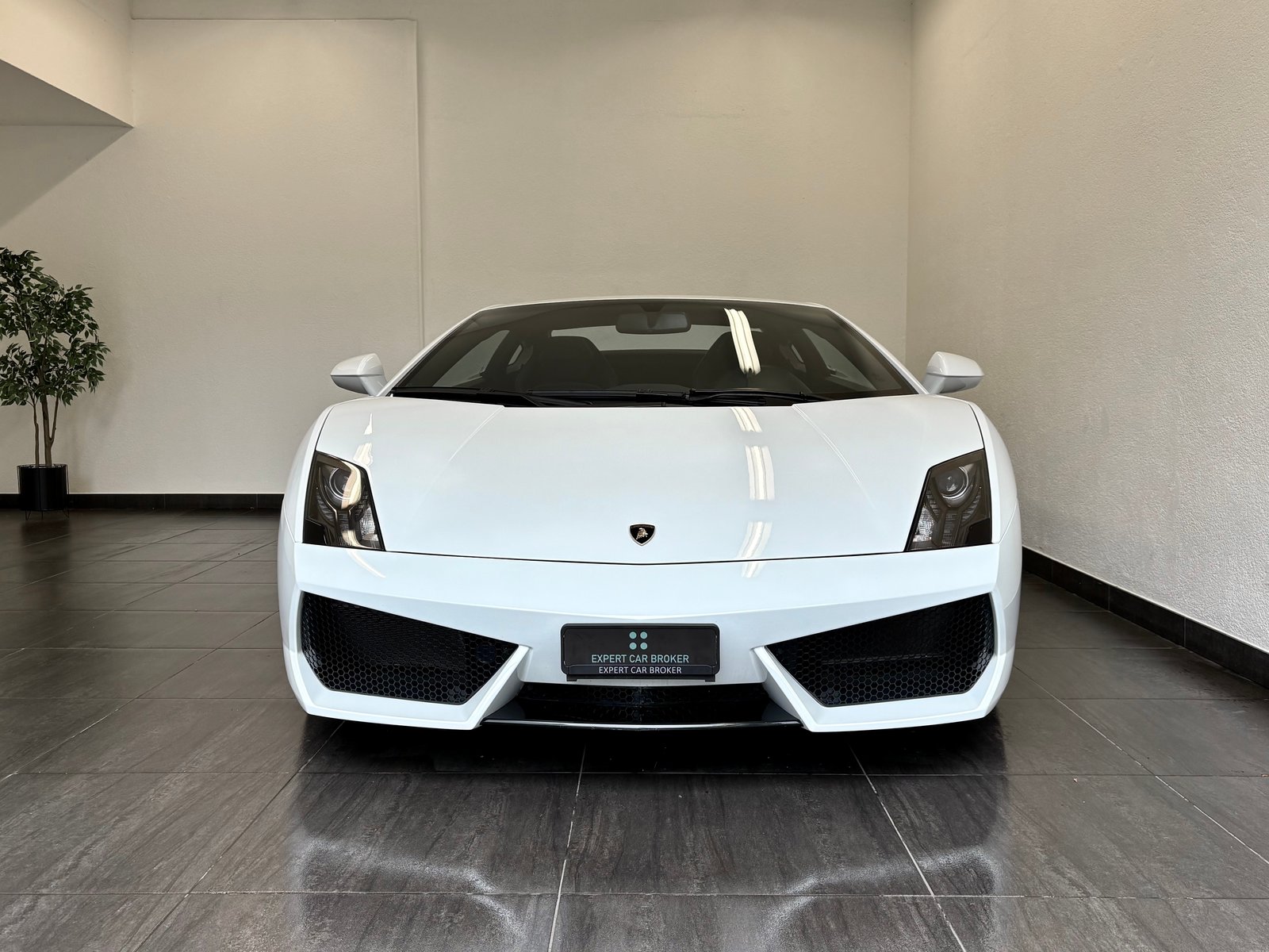 LAMBORGHINI Gallardo LP560-4 Coupé E-Gear, Benzin, Occasion / Gebraucht, Automat - 3