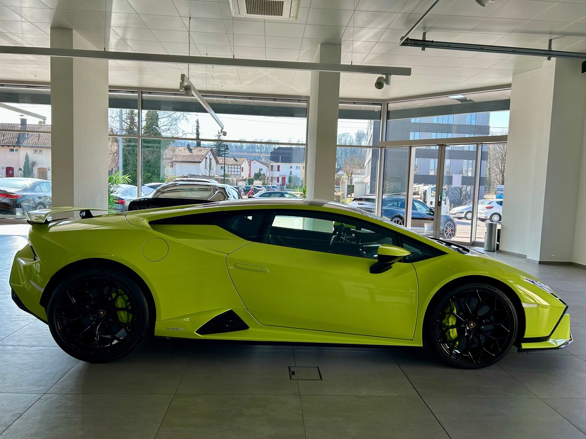 LAMBORGHINI Tecnica, Benzina, Occasioni / Usate, Automatico - 5