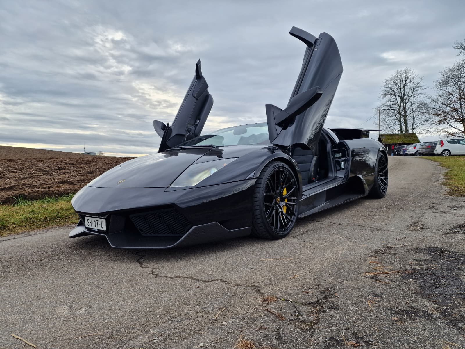 LAMBORGHINI Murciélago 6.2 Roadster, Essence, Occasion / Utilisé, Manuelle - 2