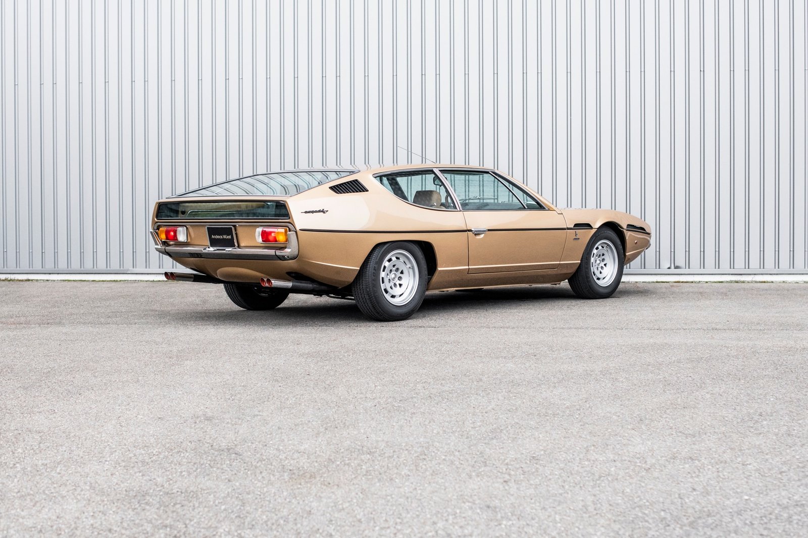 LAMBORGHINI Serie III, Benzin, Occasion / Gebraucht, Handschaltung - 4