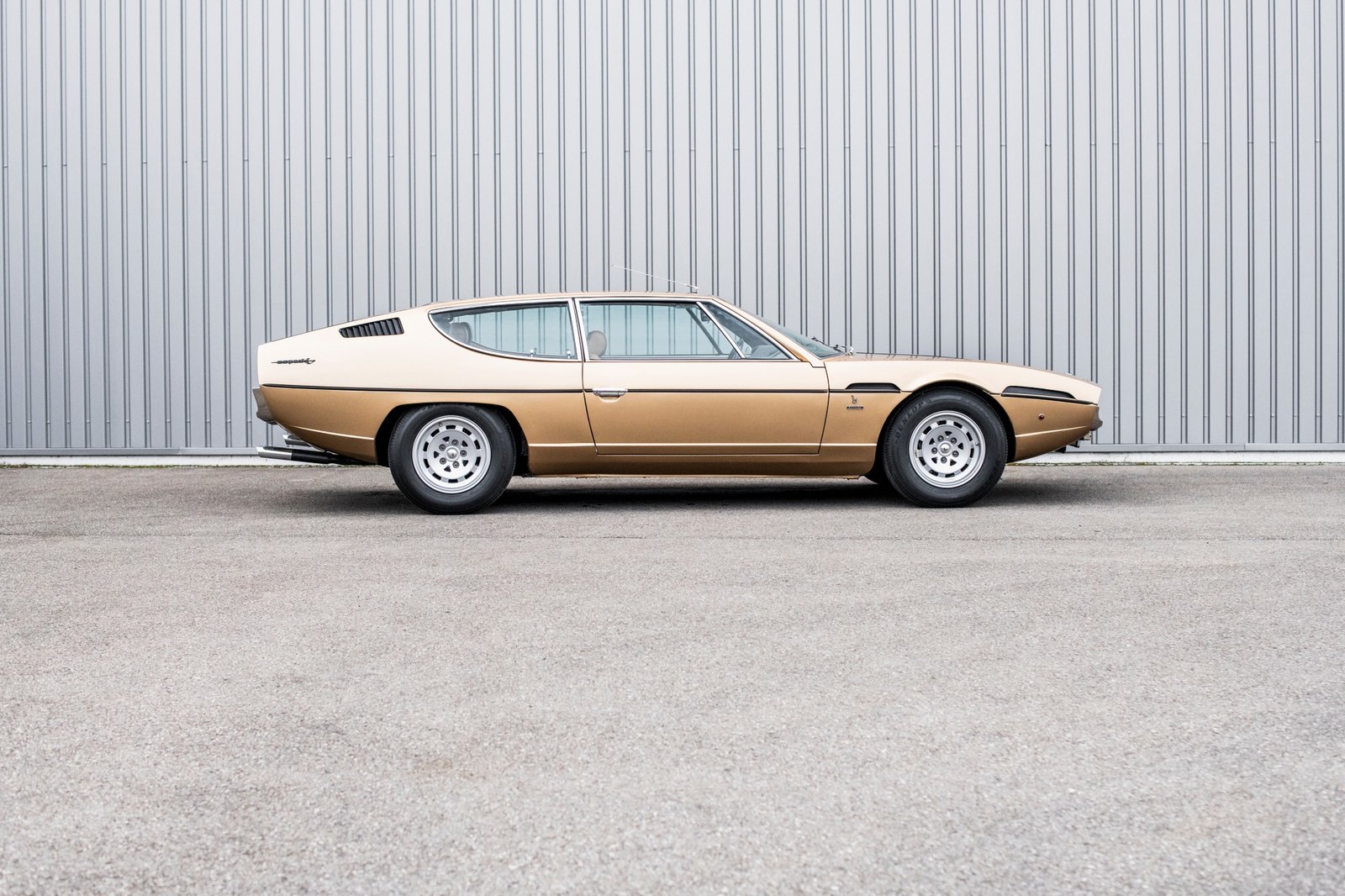 LAMBORGHINI Serie III, Benzin, Occasion / Gebraucht, Handschaltung - 5