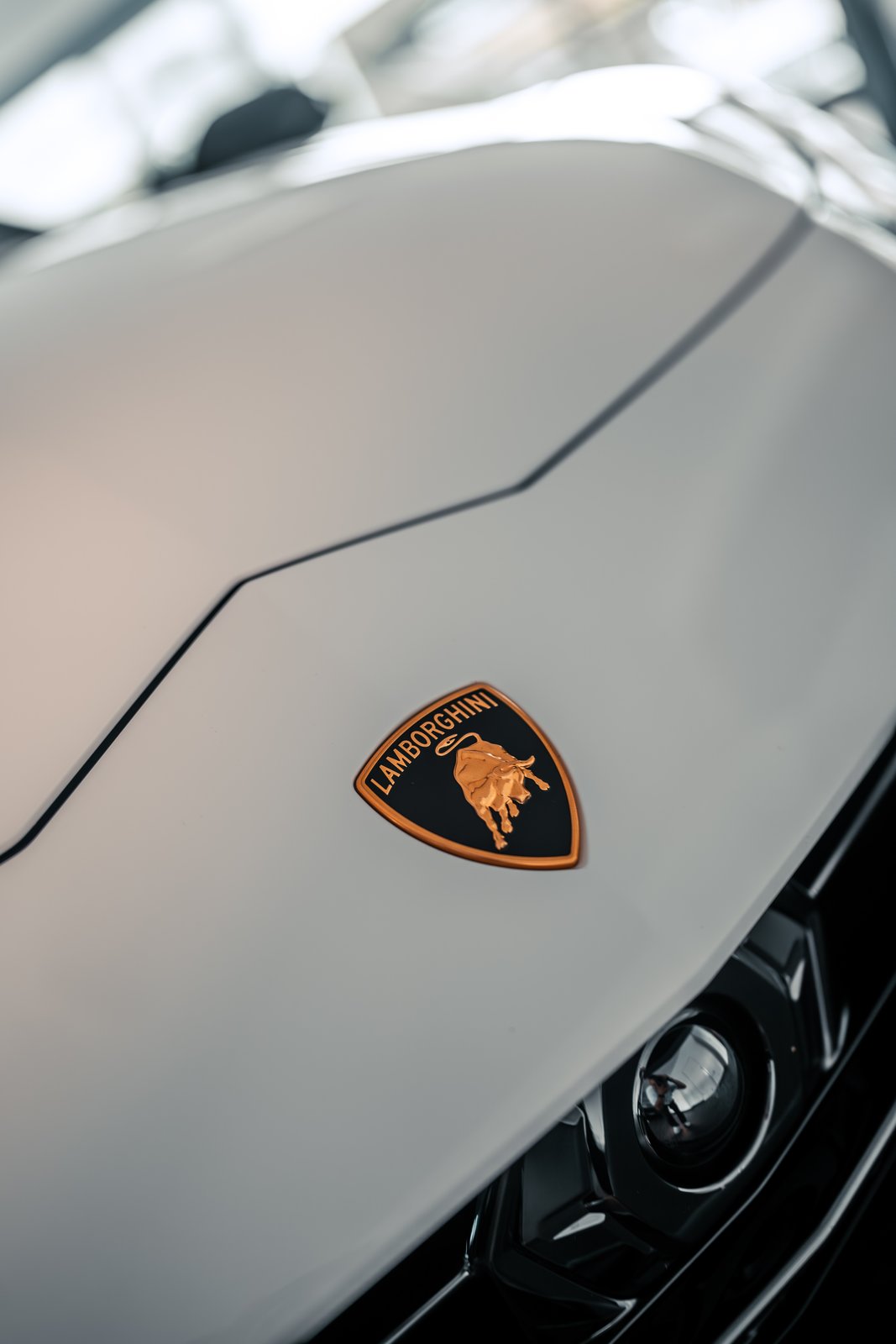 LAMBORGHINI Urus S, Petrol, Second hand / Used, Automatic - 7
