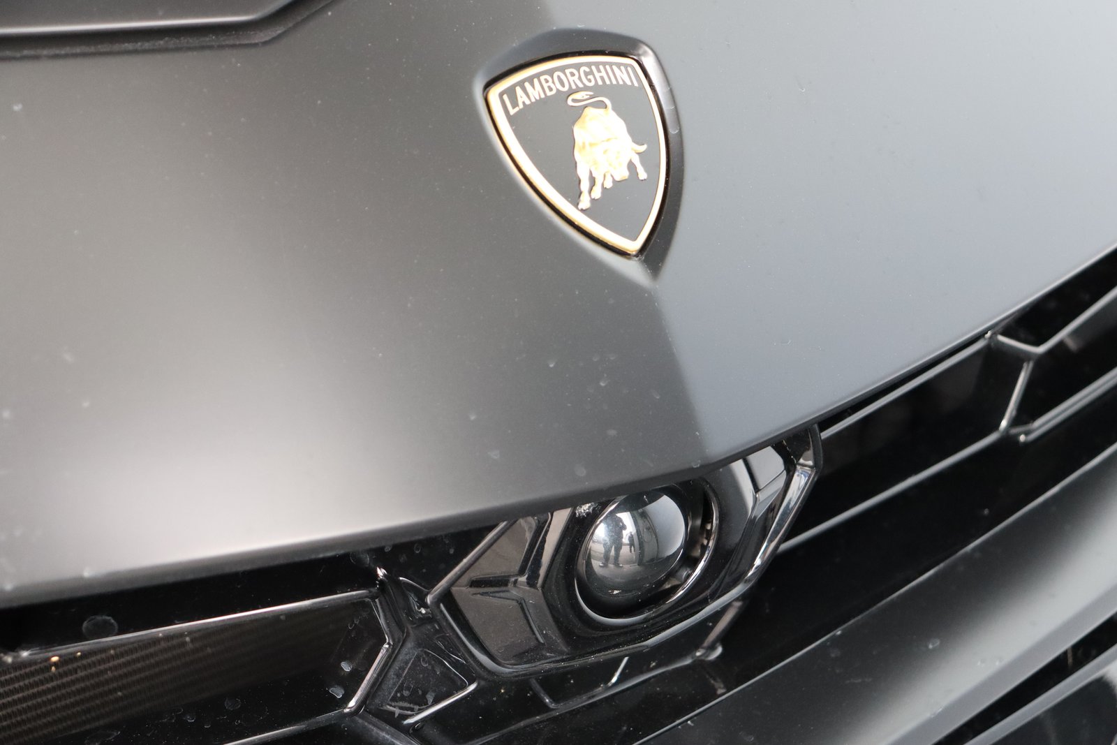 LAMBORGHINI Urus E-Gear, Benzina, Occasioni / Usate, Automatico - 7