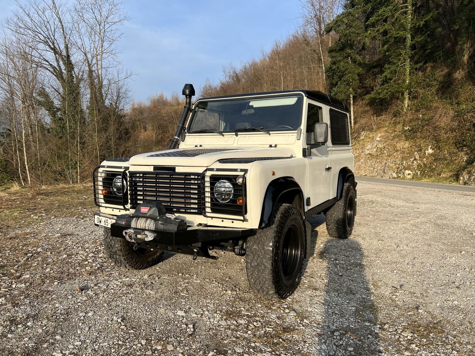 LAND ROVER 90 TDi Avus Performance, Diesel, Occasioni / Usate, Manuale - 2