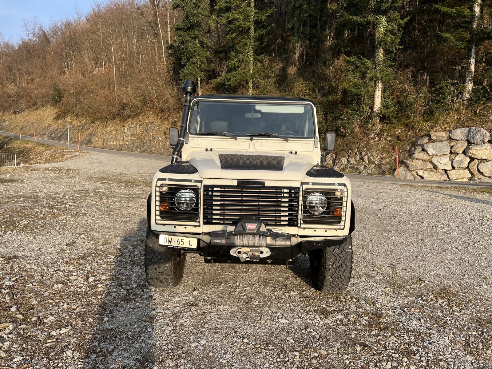 LAND ROVER 90 TDi Avus Performance, Diesel, Occasioni / Usate, Manuale - 3