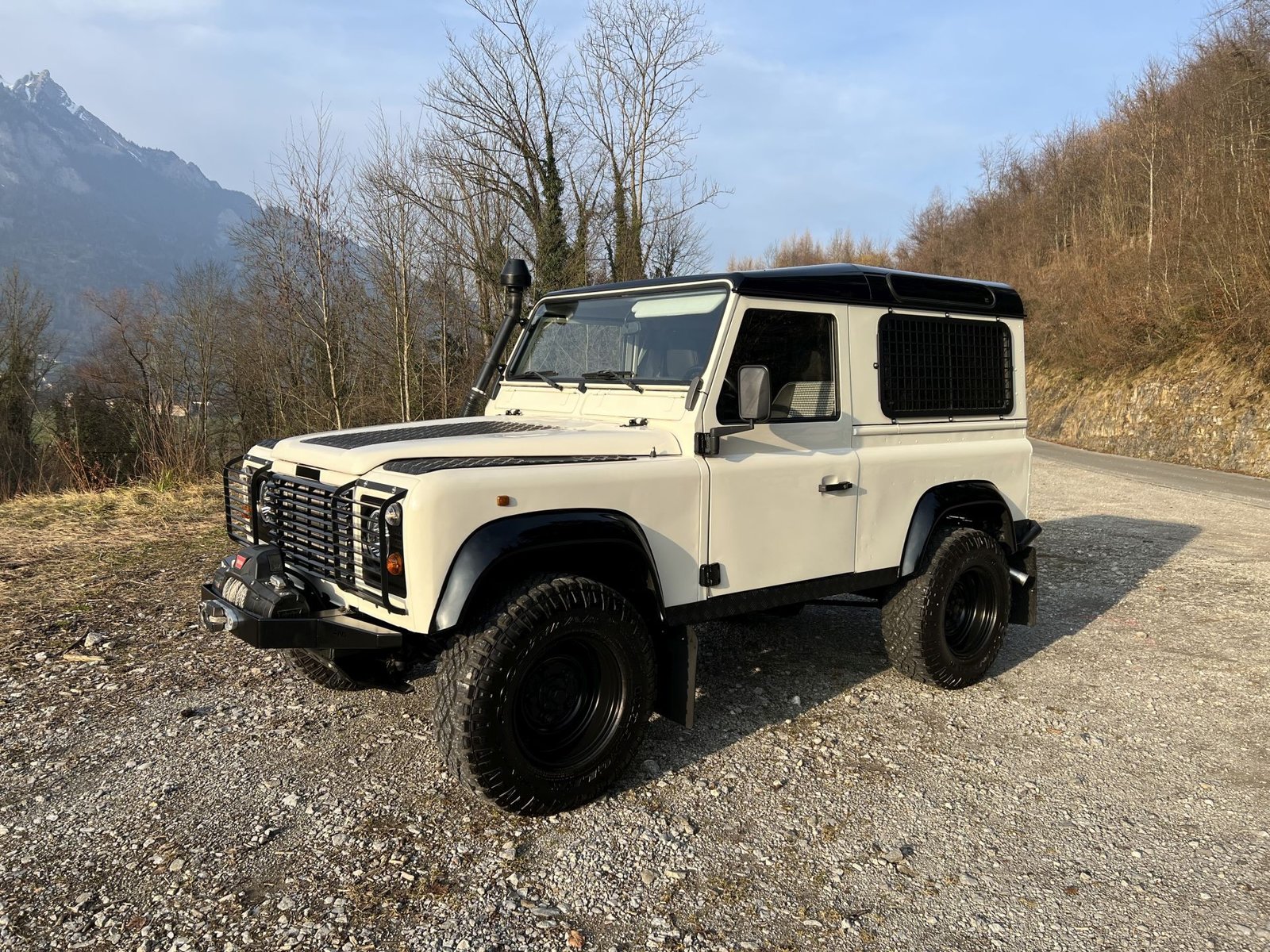 LAND ROVER 90 TDi Avus Performance, Diesel, Occasioni / Usate, Manuale - 4