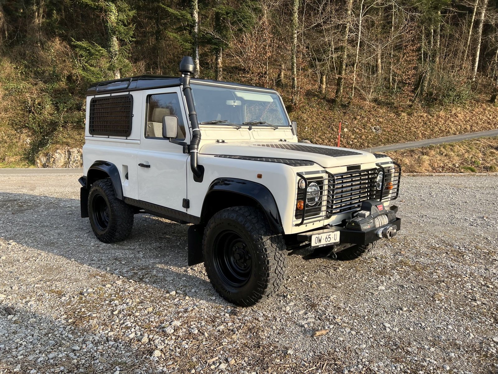 LAND ROVER 90 TDi Avus Performance, Diesel, Occasioni / Usate, Manuale - 6