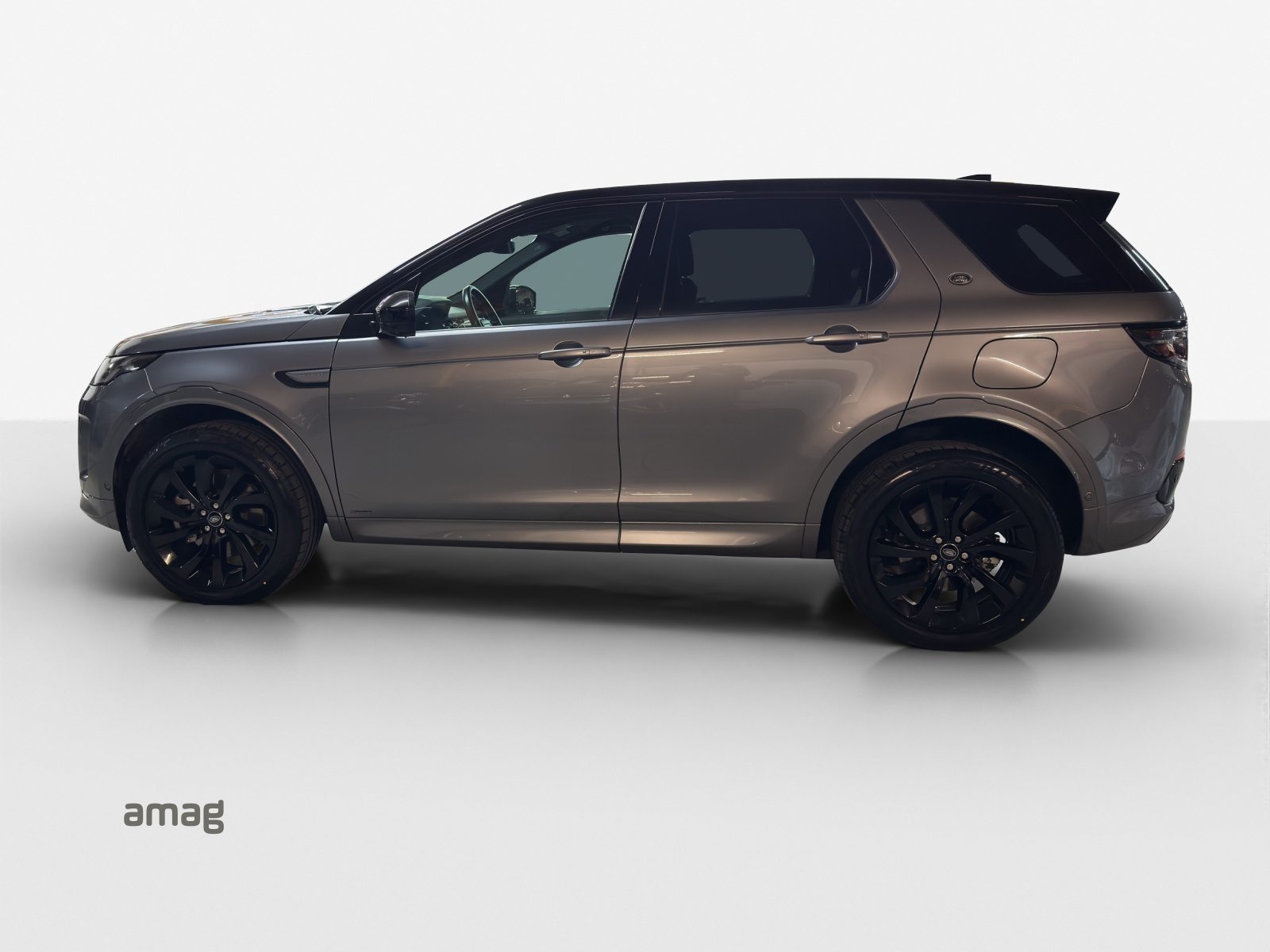 LAND ROVER Disco Sp R Dy P300e SE, Benzina, Occasioni / Usate, Automatico - 3