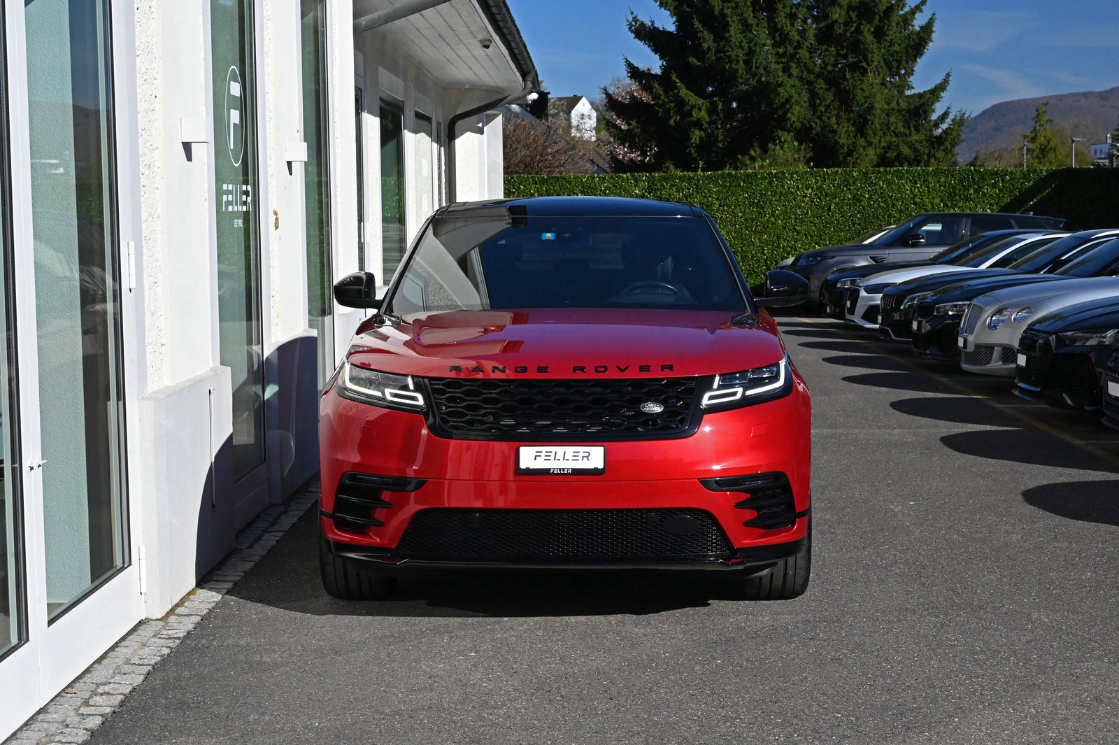 LAND ROVER Range Rover Velar R-Dynamic D 300 SE Automatic, Diesel, Occasioni / Usate, Automatico - 3