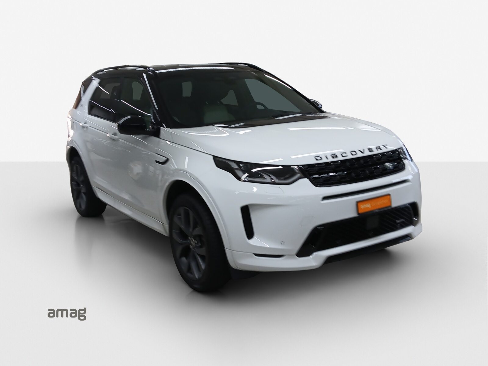 LAND ROVER Disco.Sp.RDy D165 TD4SE, Diesel, Occasion / Utilisé, Automatique - 6