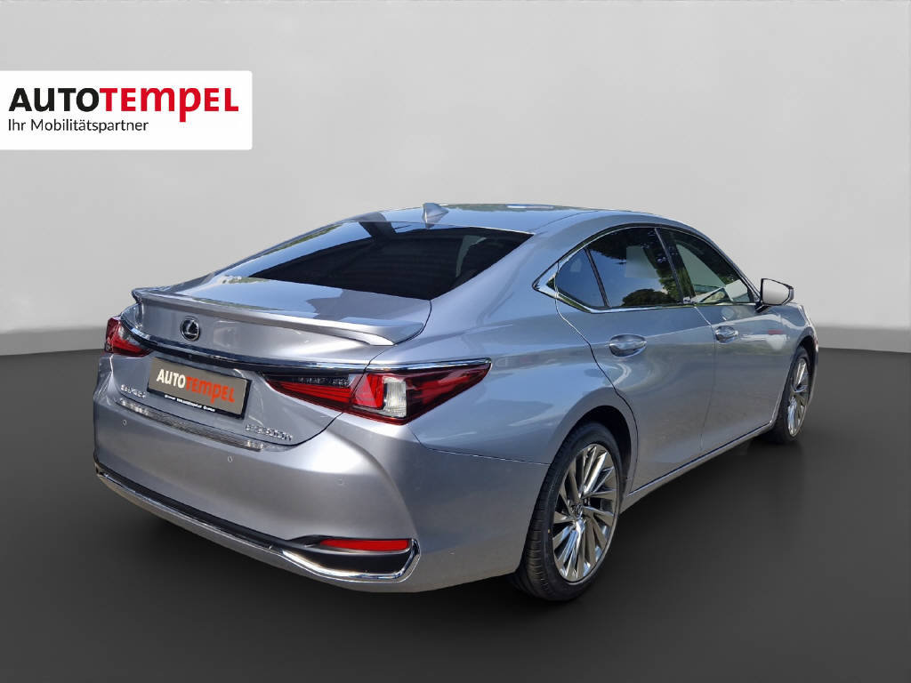 LEXUS ES 300h Excellence 45906/000, Hybride Integrale Benzina/Elettrica, Occasioni / Usate, Automatico - 6