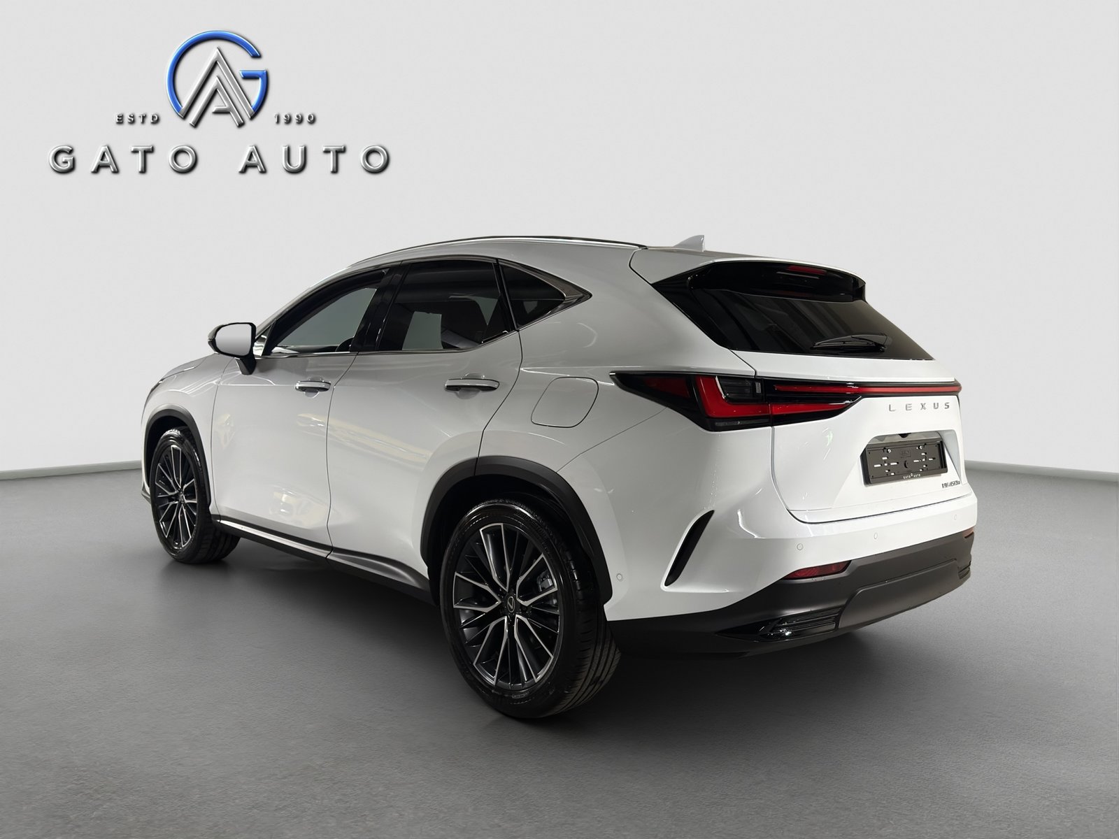 LEXUS NX 450h+ E-FOUR Excellence, Hybride Rechargeable Essence/Électricité, Voiture nouvelle, Automatique - 2