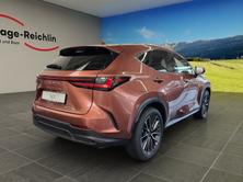 LEXUS NX 450h+ Excellence, Plug-in-Hybrid Benzina/Elettrica, Auto nuove, Automatico - 5