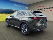 LEXUS NX 350h Excellence, Hybride Integrale Benzina/Elettrica, Auto nuove, Automatico - 2