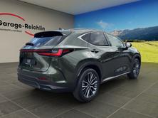 LEXUS NX 350h Excellence, Hybride Integrale Benzina/Elettrica, Auto nuove, Automatico - 4