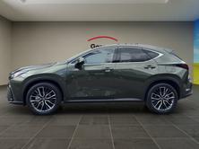 LEXUS NX 350h Excellence, Hybride Integrale Benzina/Elettrica, Auto nuove, Automatico - 6