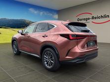 LEXUS NX 450h+ Comfort, Plug-in-Hybrid Benzina/Elettrica, Auto nuove, Automatico - 2