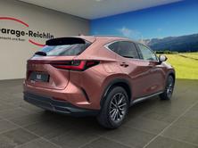 LEXUS NX 450h+ Comfort, Plug-in-Hybrid Benzina/Elettrica, Auto nuove, Automatico - 4