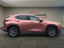 LEXUS NX 450h+ Comfort, Plug-in-Hybrid Benzina/Elettrica, Auto nuove, Automatico - 5