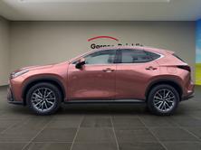 LEXUS NX 450h+ Comfort, Plug-in-Hybrid Benzina/Elettrica, Auto nuove, Automatico - 6