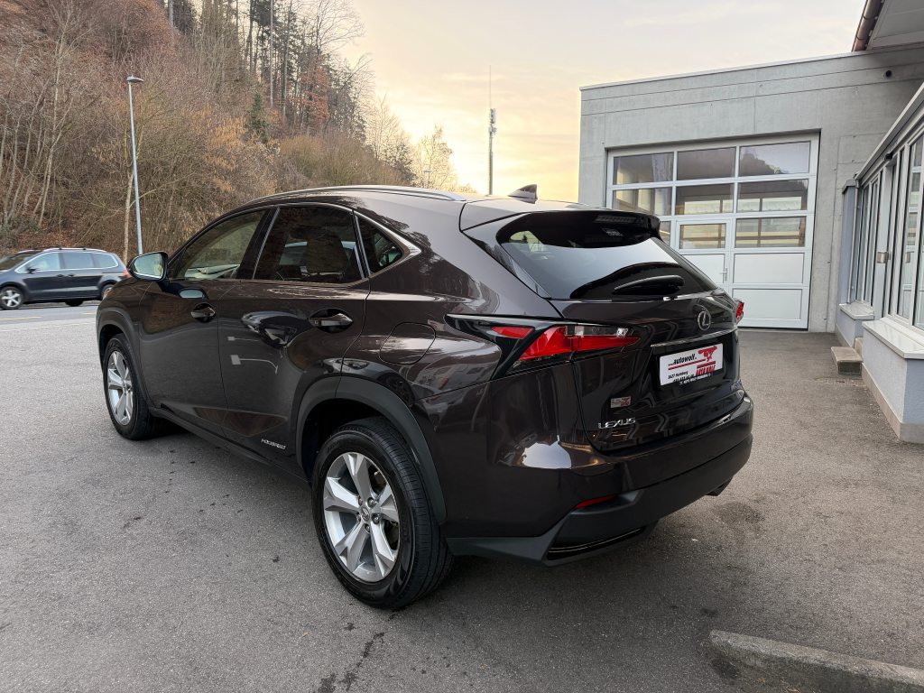 LEXUS NX 300h Excellence, Hybride Integrale Benzina/Elettrica, Occasioni / Usate, Automatico - 3