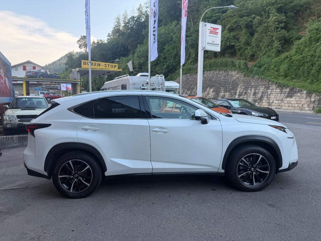 LEXUS NX 300h Excellence, Hybride Intégral Essence/Électricité, Occasion / Utilisé, Automatique - 6