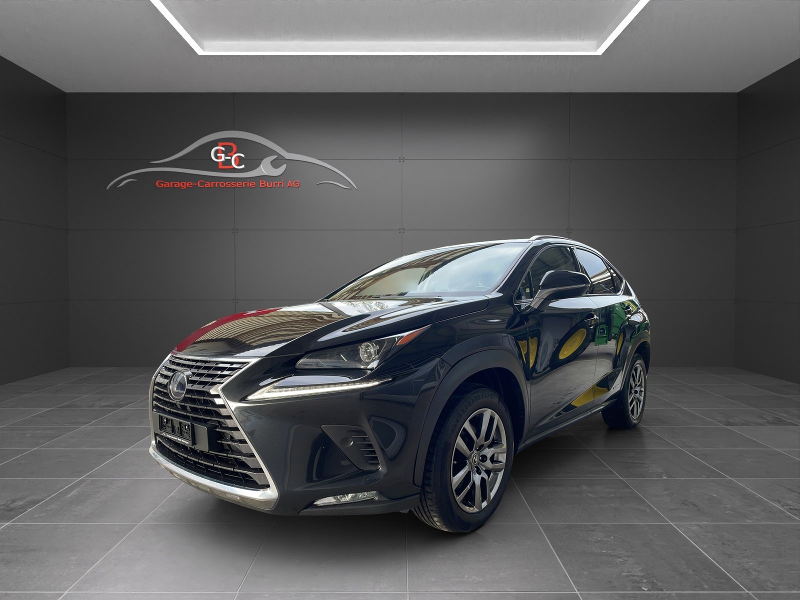 LEXUS NX 300h Diamond E-Four Automatic