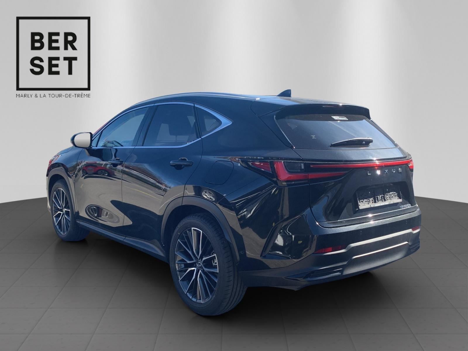 LEXUS NX 450h+ Excellence, Plug-in-Hybrid Benzina/Elettrica, Occasioni / Usate, Automatico - 6