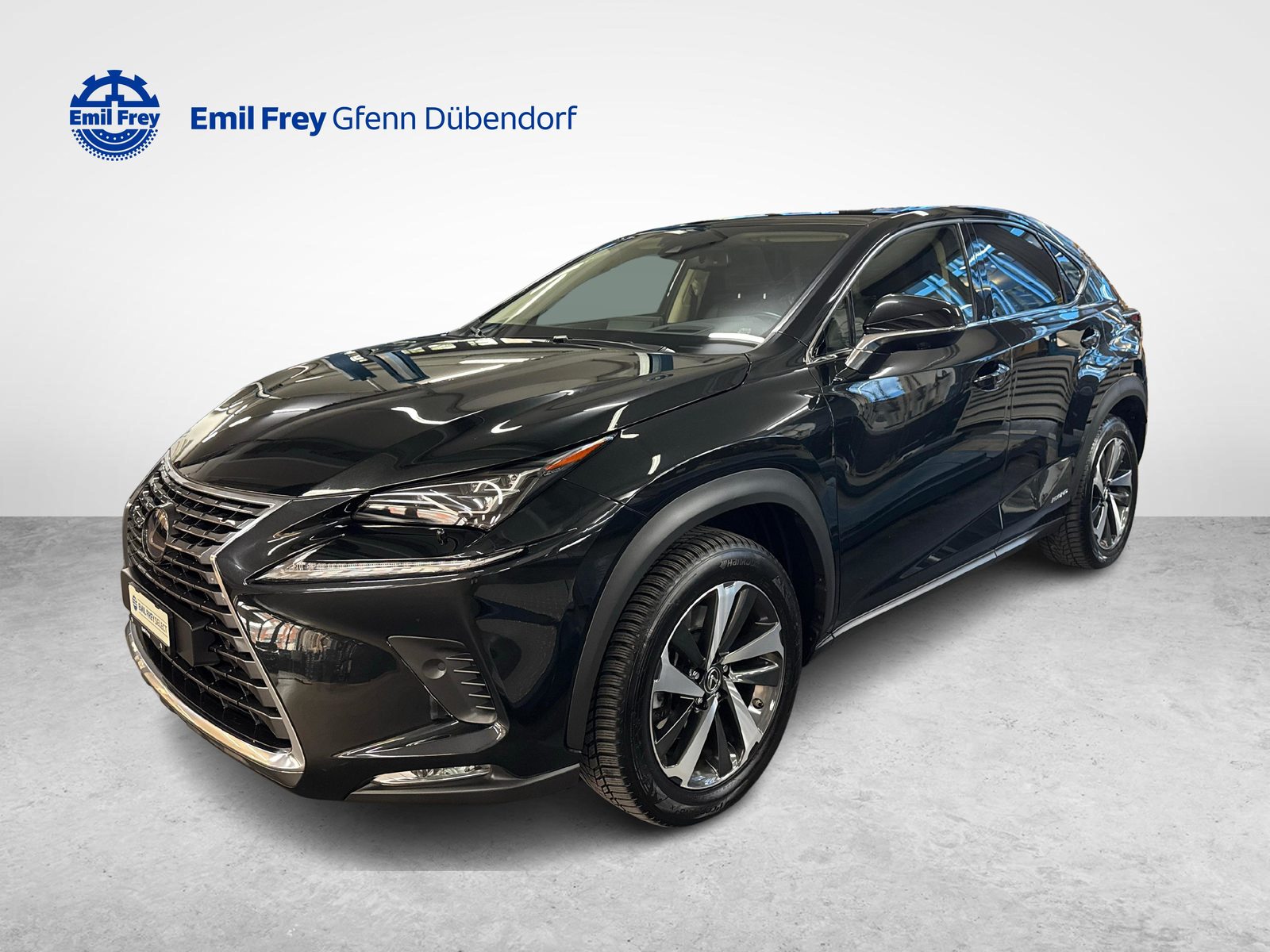 LEXUS NX 300h Excellence